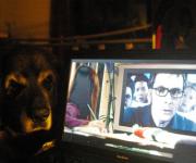 TV on my pc: Why will you watch TV on pc?