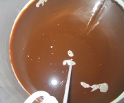 The best treatment to get rid of Candidoza