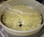 Candidoza treatment- what to look for