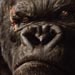 KING KONG Trailer/Featurette!