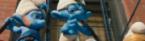 The Smurf