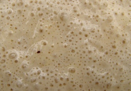 Looking for treatment of Candidiasis?