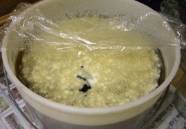 Candidoza treatment- what to look for