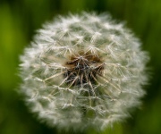 Suffering From Uticaria?