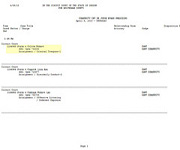 Criminal Court Docket - Click To Buy Now